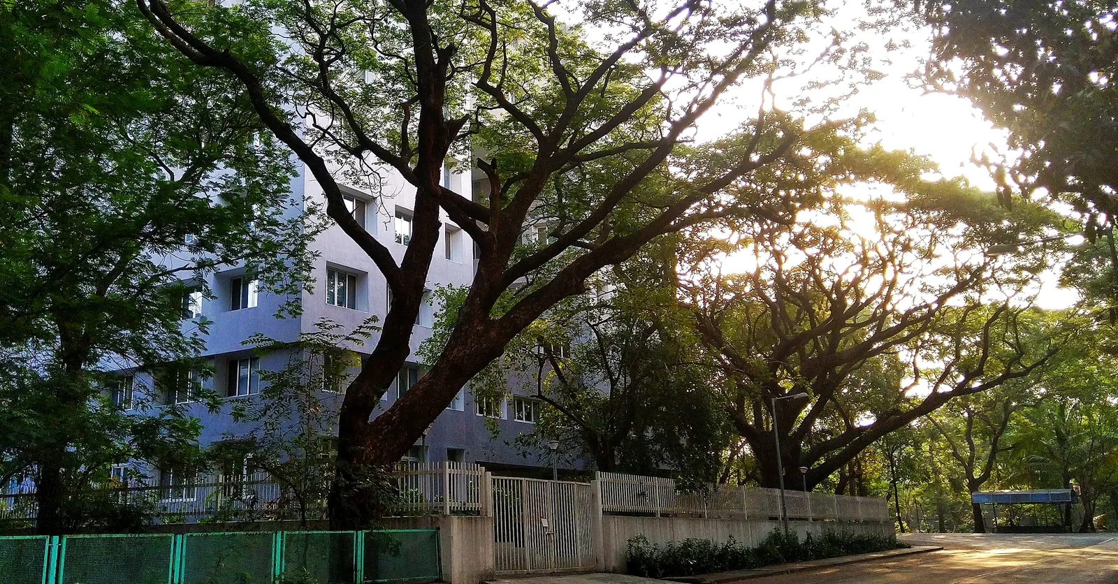 IIT Bombay campus, Powai