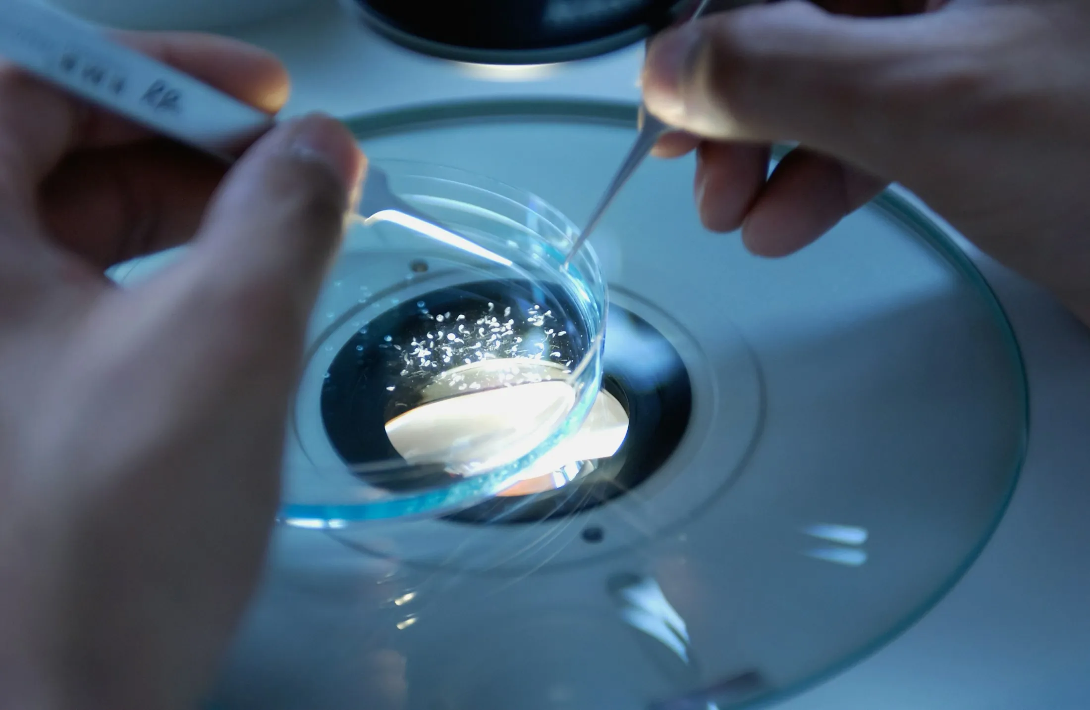 Precision handling of membrane material samples